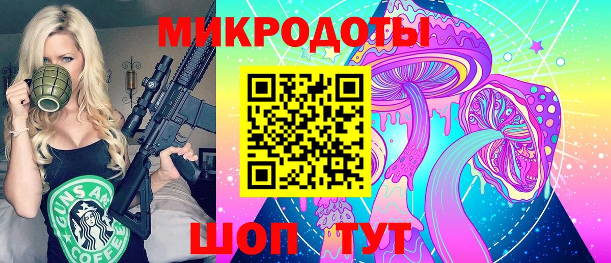 Псилоцибиновые грибы Psilocybe Горячий Ключ