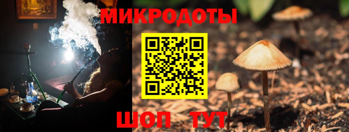 Псилоцибиновые грибы мухоморы  Вход с VPN  как найти   Псилоцибиновые грибы Psilocybine cubensis  Горячий Ключ 